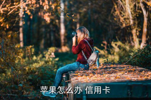苹果怎么办 信用卡