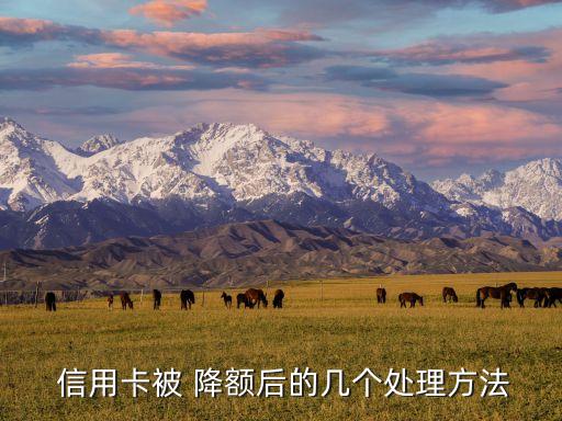  信用卡被 降额后的几个处理方法
