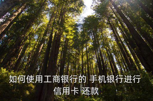 手机怎样下载信用卡还款软件,手机银行可以给信用卡转账还款吗