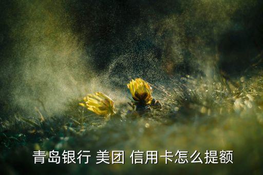  青岛银行 美团 信用卡怎么提额