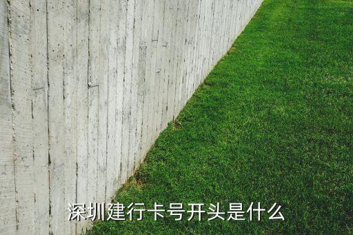 深圳市建设银行信用卡业务,建设银行信用卡怎么办理
