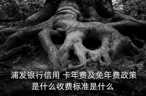  浦发银行信用 卡年费及免年费政策是什么收费标准是什么