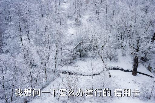我想问一下怎么办建行的 信用卡