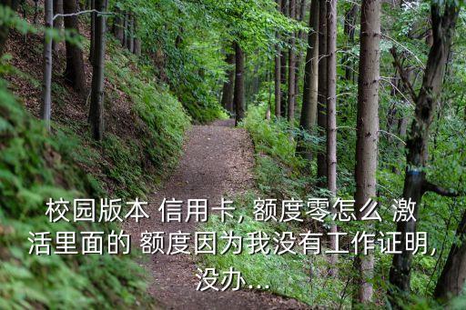 校园版本 信用卡, 额度零怎么 激活里面的 额度因为我没有工作证明,没办...