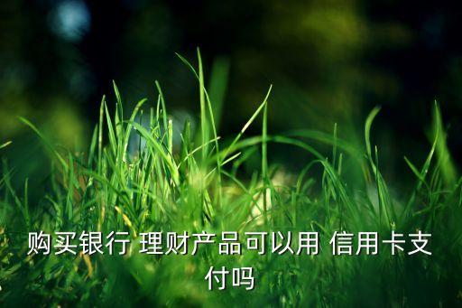 购买银行 理财产品可以用 信用卡支付吗