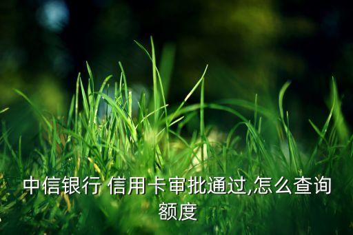中信银行 信用卡审批通过,怎么查询 额度