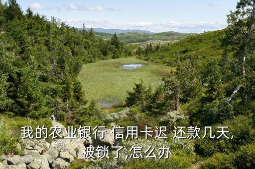 我的农业银行 信用卡迟 还款几天,被锁了,怎么办