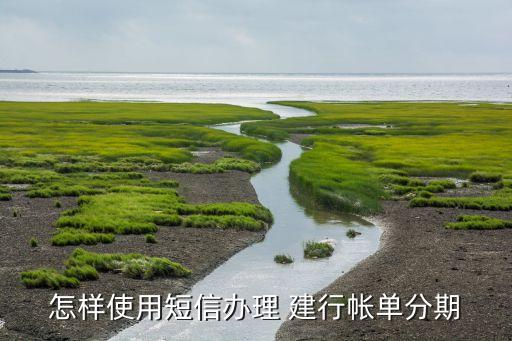 怎样使用短信办理 建行帐单分期