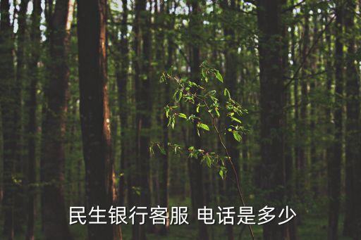 潍坊民生银行信用卡部电话,民生银行信用卡中心潍坊分中心