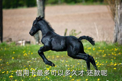  信用卡最多可以多久才 还款呢