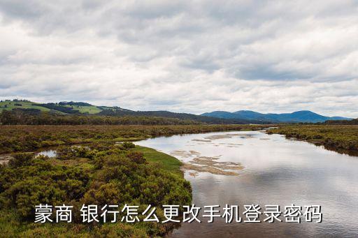 蒙商 银行怎么更改手机登录密码