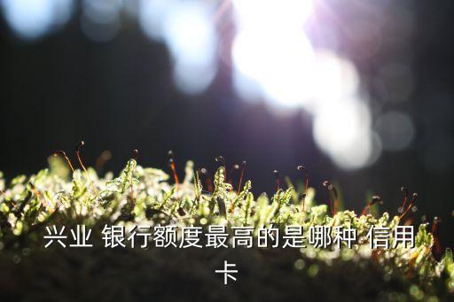  兴业 银行额度最高的是哪种 信用卡