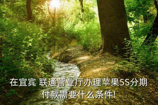 联通手机信用卡申请