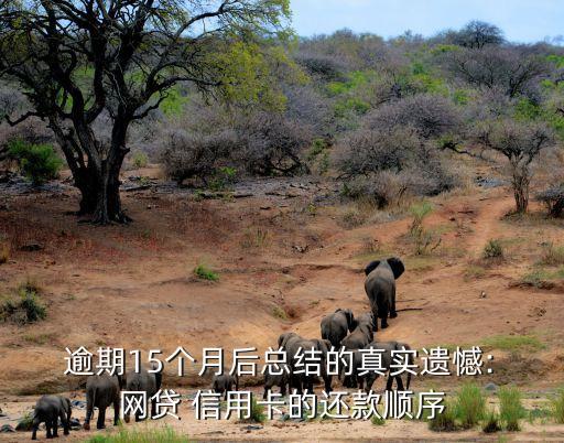 网贷信用卡逾期后先还哪个,信用卡网贷逾期问题