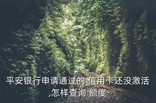 平安银行申请通过的 信用卡还没激活,怎样查询 额度