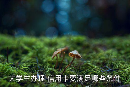 大学生办理 信用卡要满足哪些条件