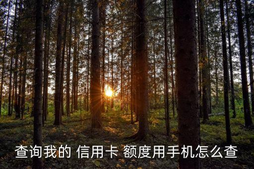 查询我的 信用卡 额度用手机怎么查
