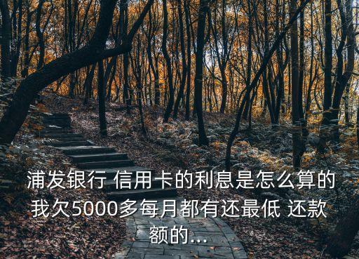  浦发银行 信用卡的利息是怎么算的我欠5000多每月都有还最低 还款额的...