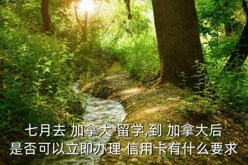七月去 加拿大 留学,到 加拿大后是否可以立即办理 信用卡有什么要求