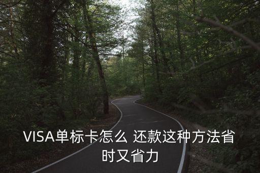 VISA单标卡怎么 还款这种方法省时又省力