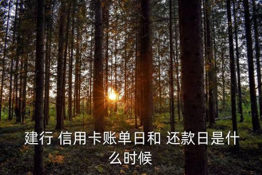 怎样更改建行信用卡还款日,建行信用卡晚了一天还款会怎样