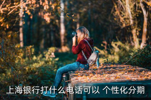 上海银行打什么电话可以 个性化分期