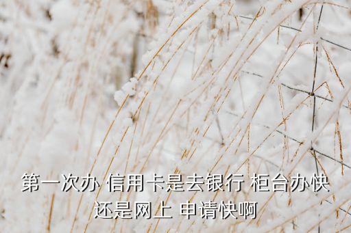 第一次办 信用卡是去银行 柜台办快还是网上 申请快啊