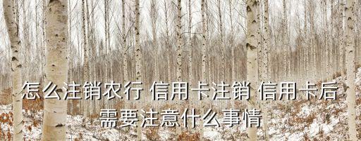 农业银行信用卡已销卡