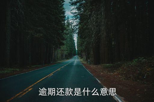  逾期还款是什么意思