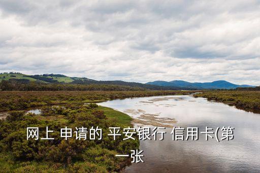 网上 申请的 平安银行 信用卡(第一张