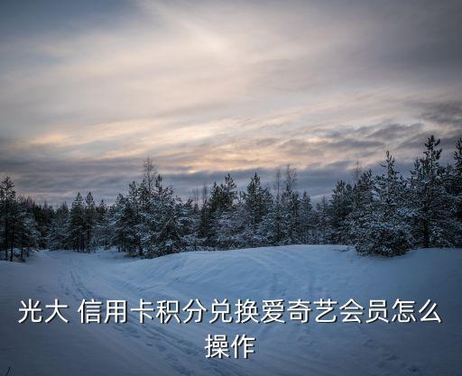 光大 信用卡积分兑换爱奇艺会员怎么操作