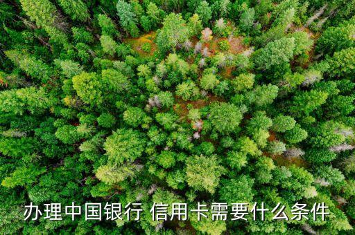 中银信用卡14年申请的,有了中银数字信用卡,再申请实体卡