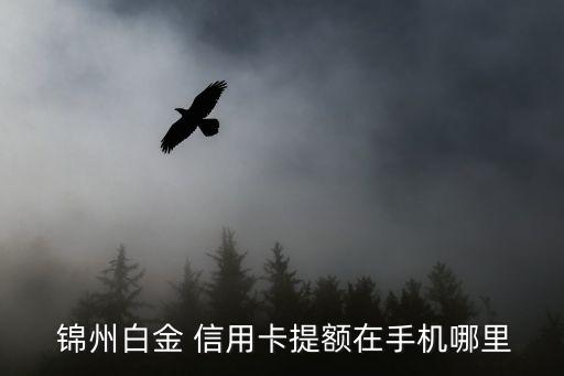  锦州白金 信用卡提额在手机哪里