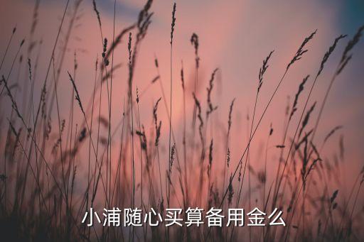  小浦随心买算备用金么