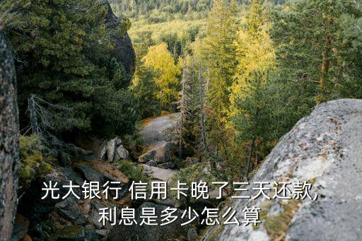 光大信用卡逾期利息太高了