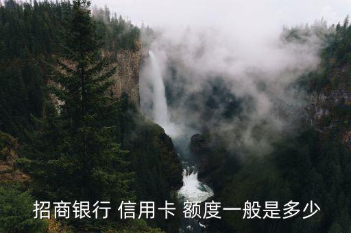 已经有了招商信用卡额度吗,招商信用卡临时额度还不上怎么办
