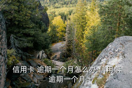  信用卡 逾期一个月怎么办 信用卡 逾期一个月