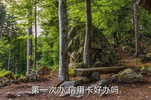 公派申信用卡好申请吗