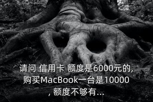 请问 信用卡 额度是6000元的,购买MacBook一台是10000, 额度不够有...