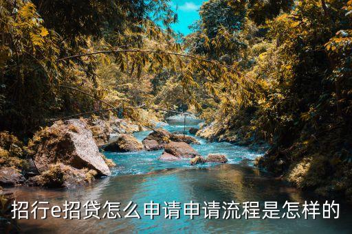 招行e招贷怎么申请申请流程是怎样的