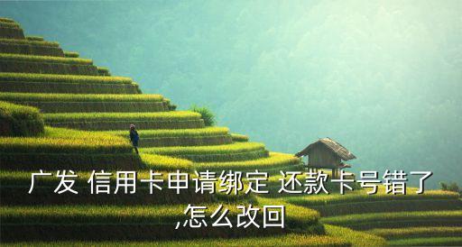 广发 信用卡申请绑定 还款卡号错了,怎么改回