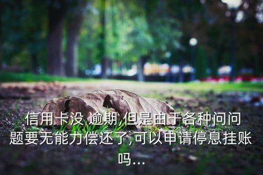  信用卡没 逾期,但是由于各种问问题要无能力偿还了,可以申请停息挂账吗...