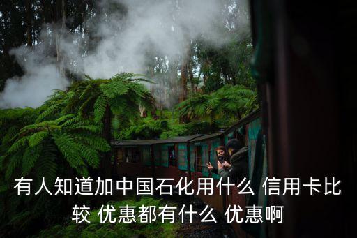 有人知道加中国石化用什么 信用卡比较 优惠都有什么 优惠啊
