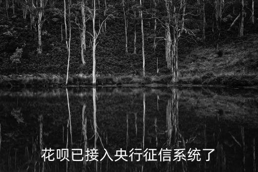 花呗已接入央行征信系统了
