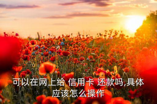 可以在网上给 信用卡 还款吗,具体应该怎么操作