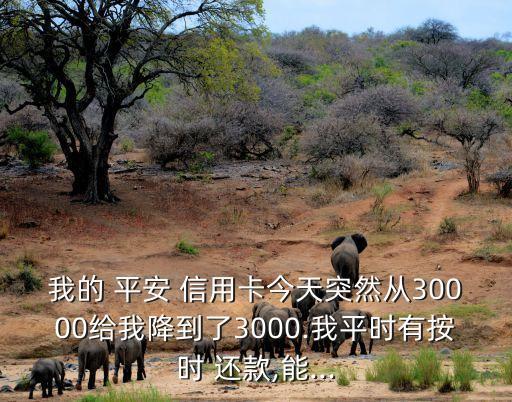 我的 平安 信用卡今天突然从30000给我降到了3000.我平时有按时 还款,能...
