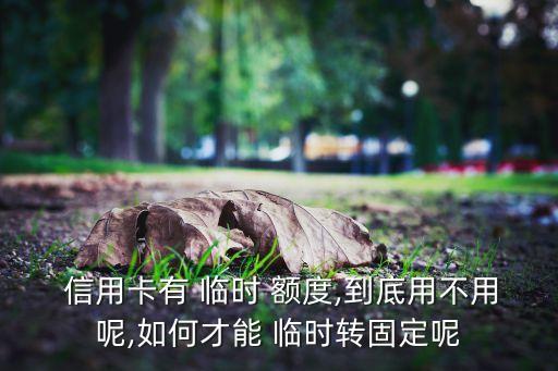  信用卡有 临时 额度,到底用不用呢,如何才能 临时转固定呢