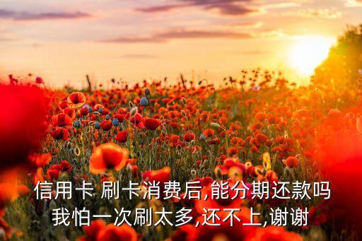  信用卡 刷卡消费后,能分期还款吗我怕一次刷太多,还不上,谢谢