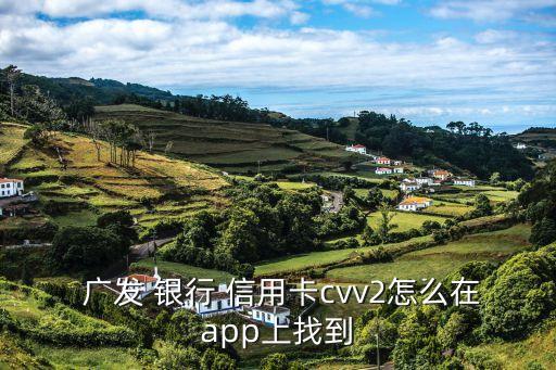  广发 银行 信用卡cvv2怎么在app上找到