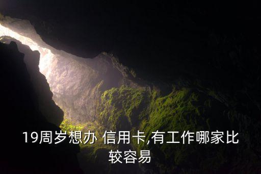 19周岁想办 信用卡,有工作哪家比较容易